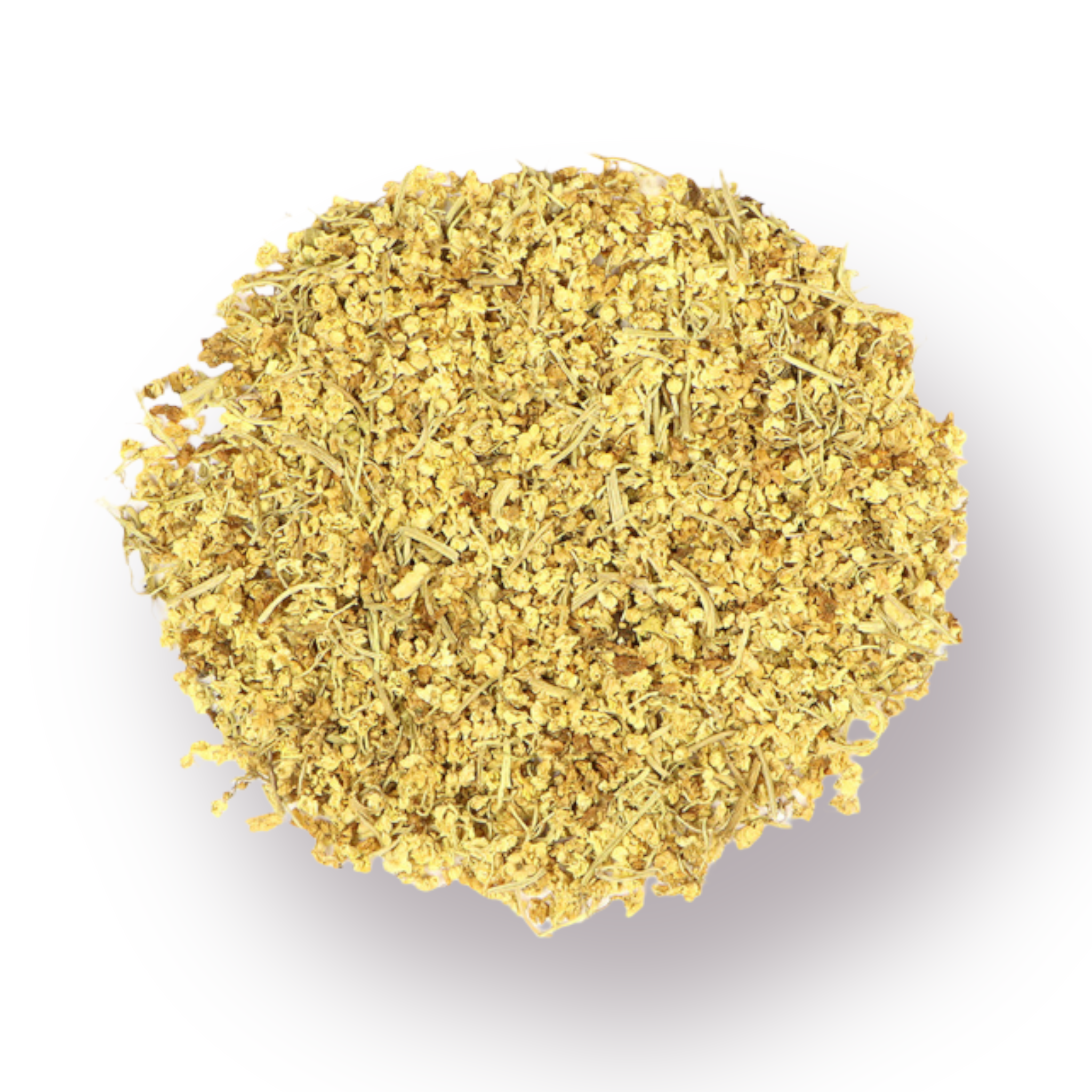 Elder Flower Bulk Herb 2oz