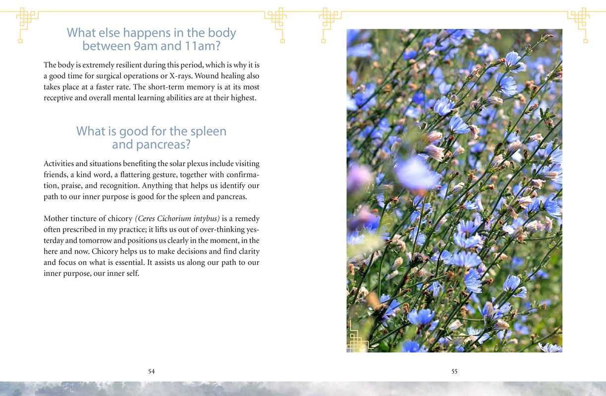 Body Clock in Traditional Chinese Medicine by Lothar Ursinus