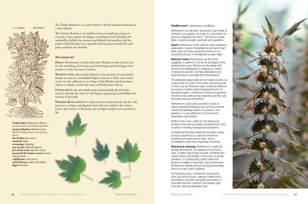 Herbalist's Bible by Julie Bruton-Seal