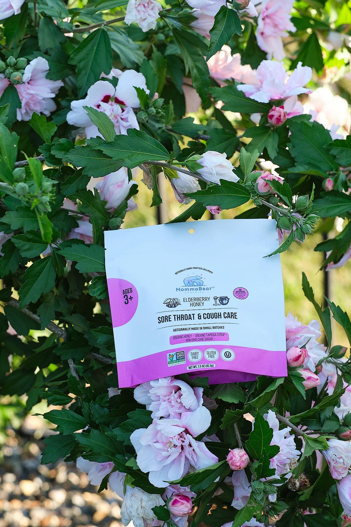 Mommabear Honey Elderberry Throat Cough Lollipops(5ct)