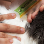 TickCheck Tick Remover Card