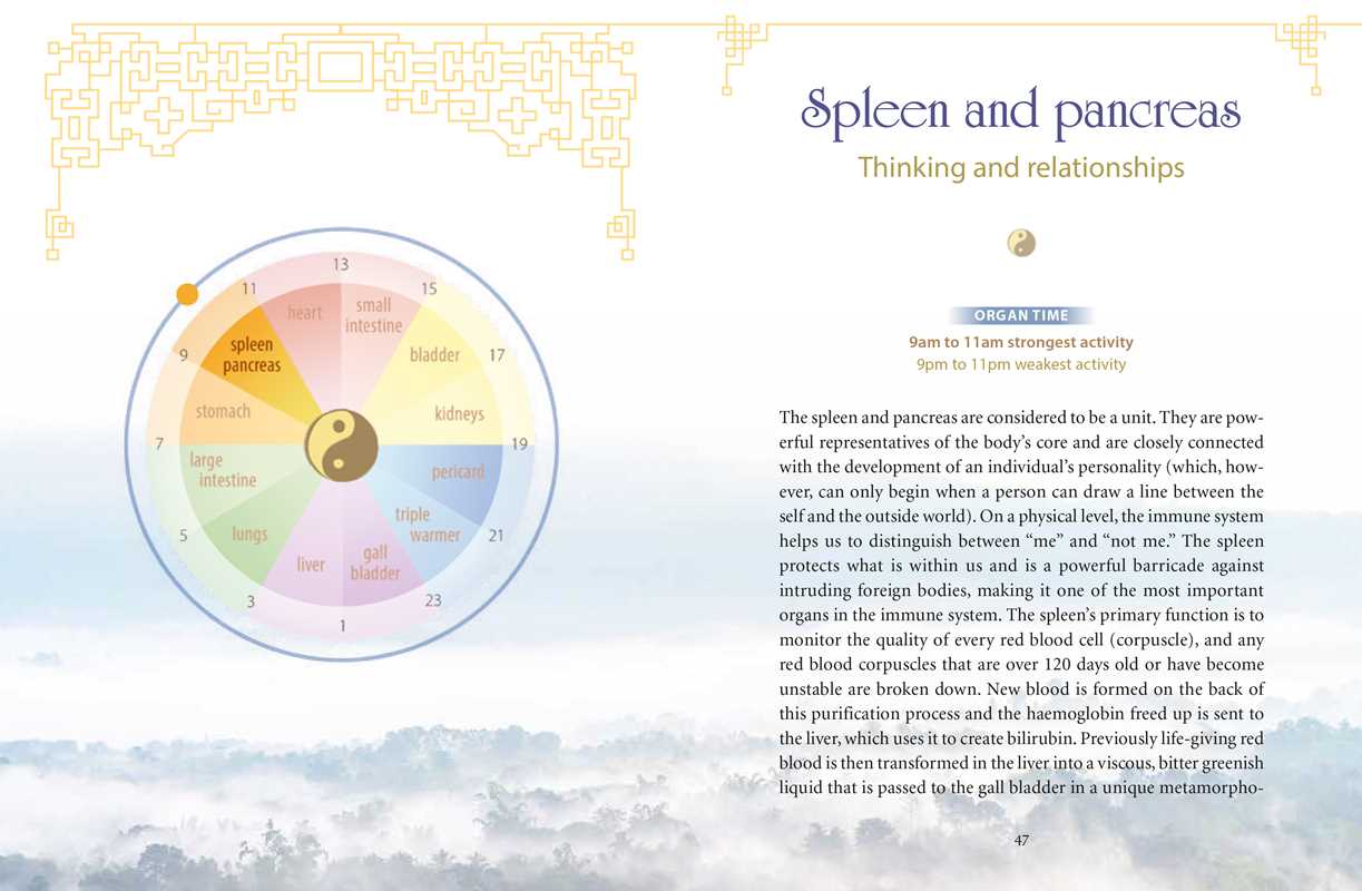 Body Clock in Traditional Chinese Medicine by Lothar Ursinus
