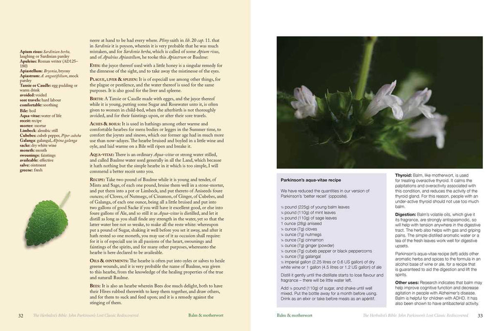 Herbalist's Bible by Julie Bruton-Seal