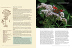 Herbalist's Bible by Julie Bruton-Seal