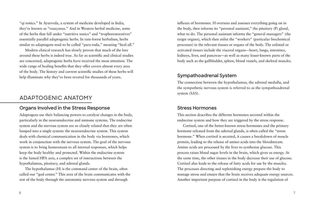 Adaptogens by Adriana Ayales