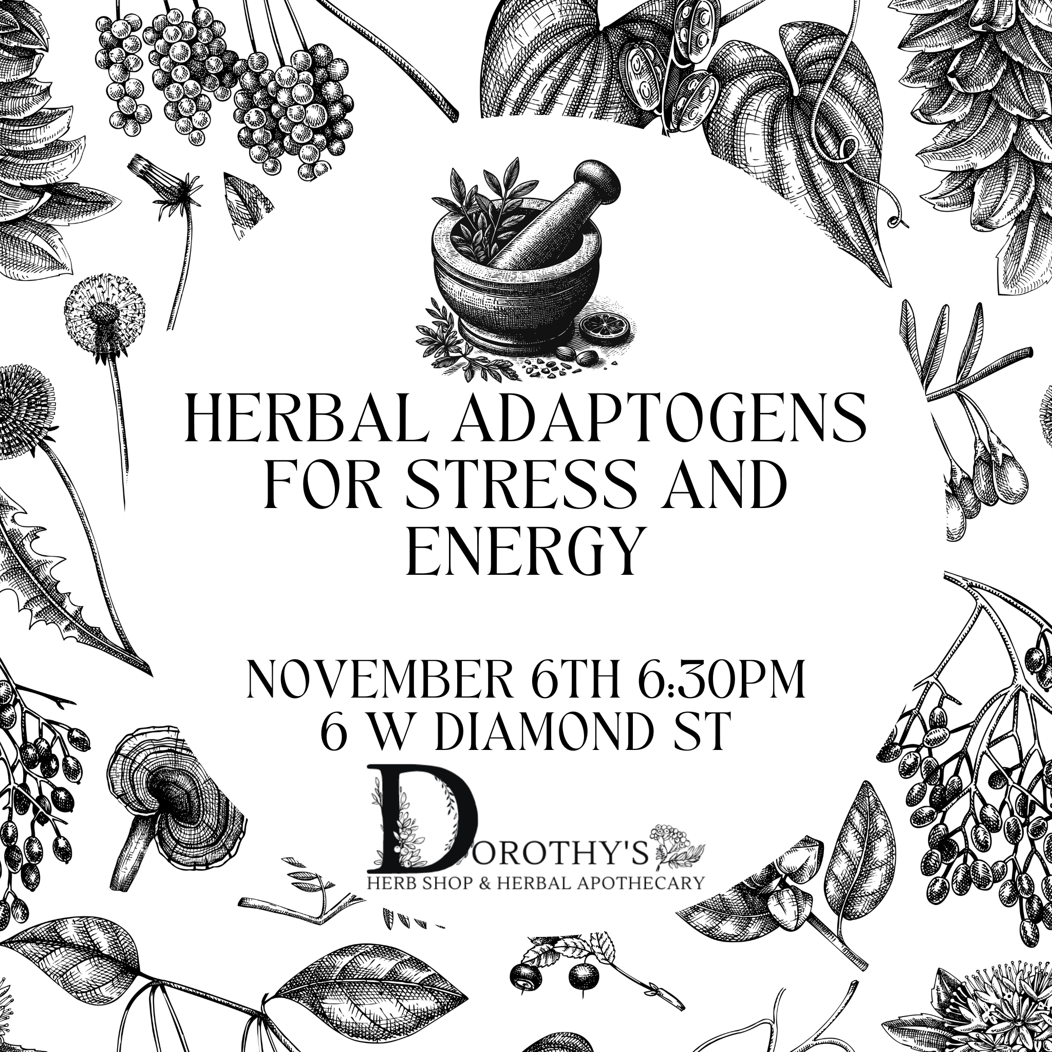 Herbal Adaptogens for Stress and Energy November 6th