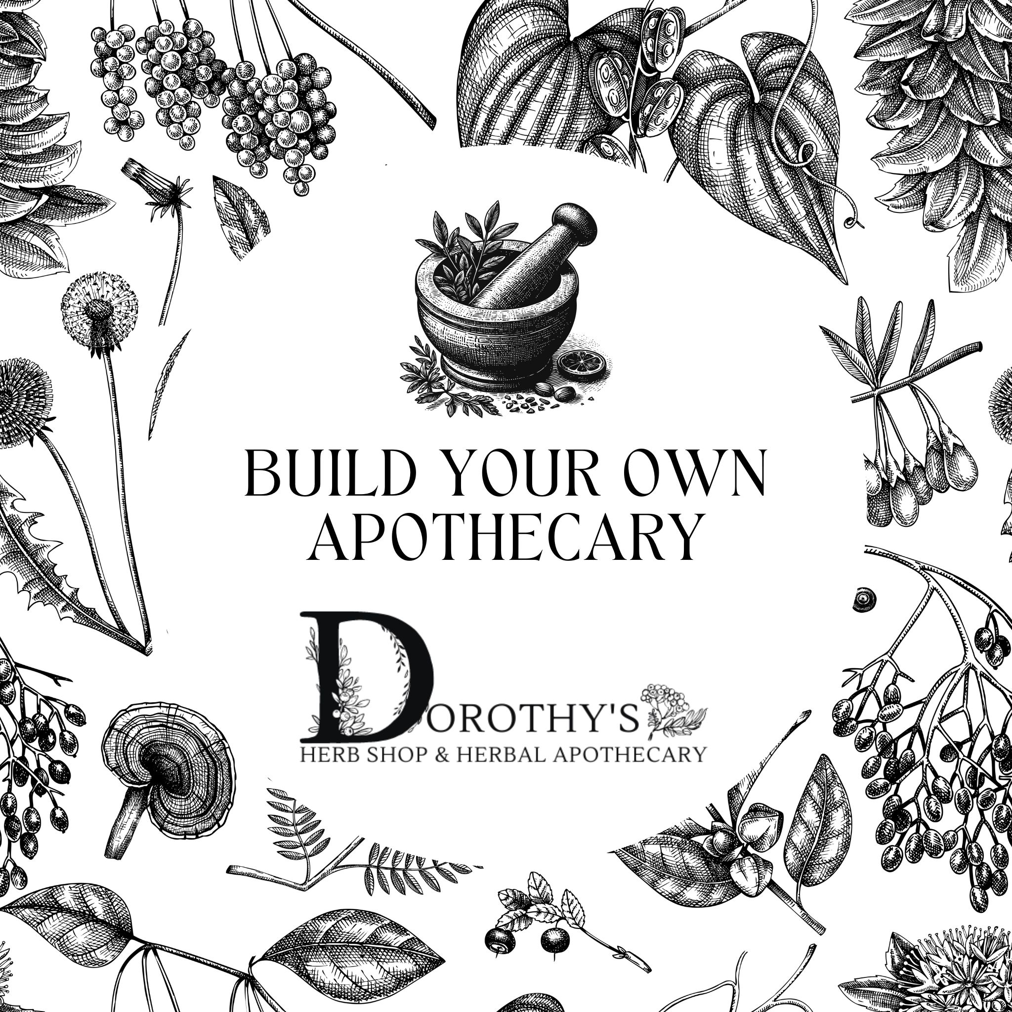 Build Your Apothecary at Dorothy's Herb Shop & Herbal Apothecary