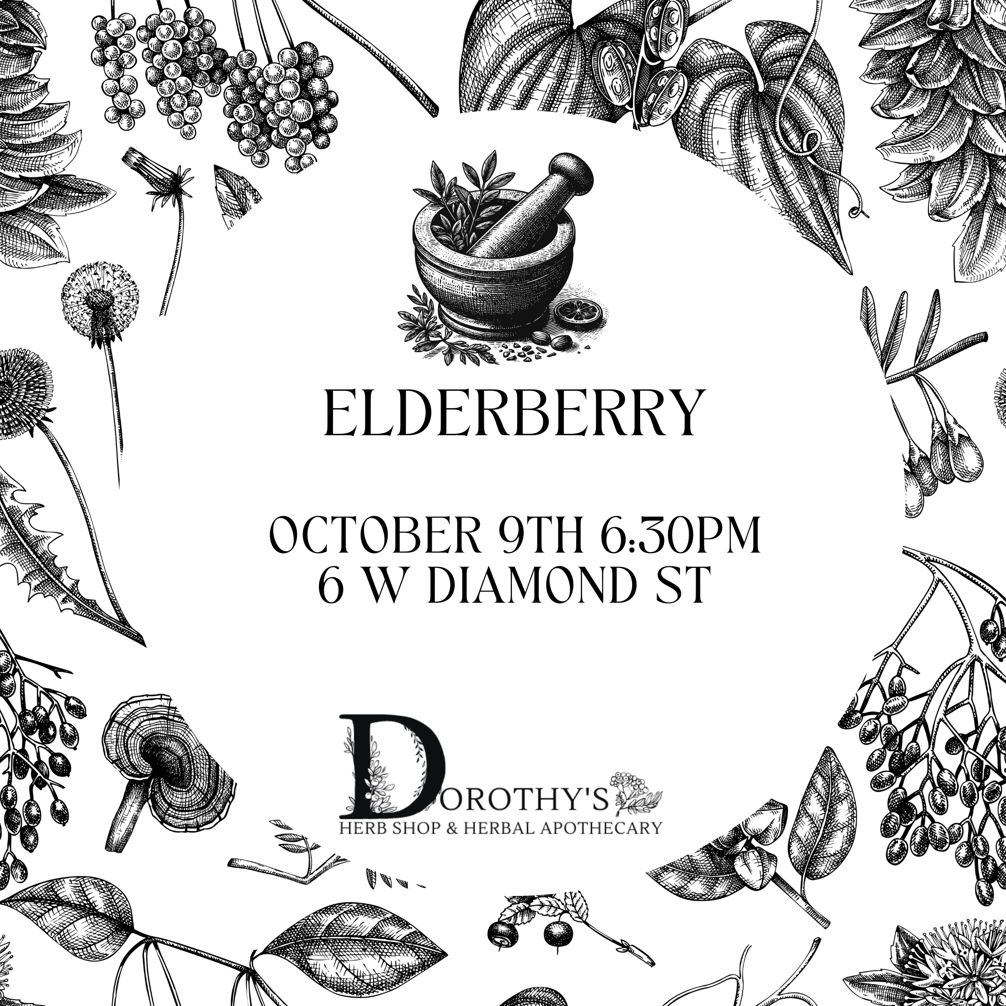 Elderberry October 9th at 6:30PM