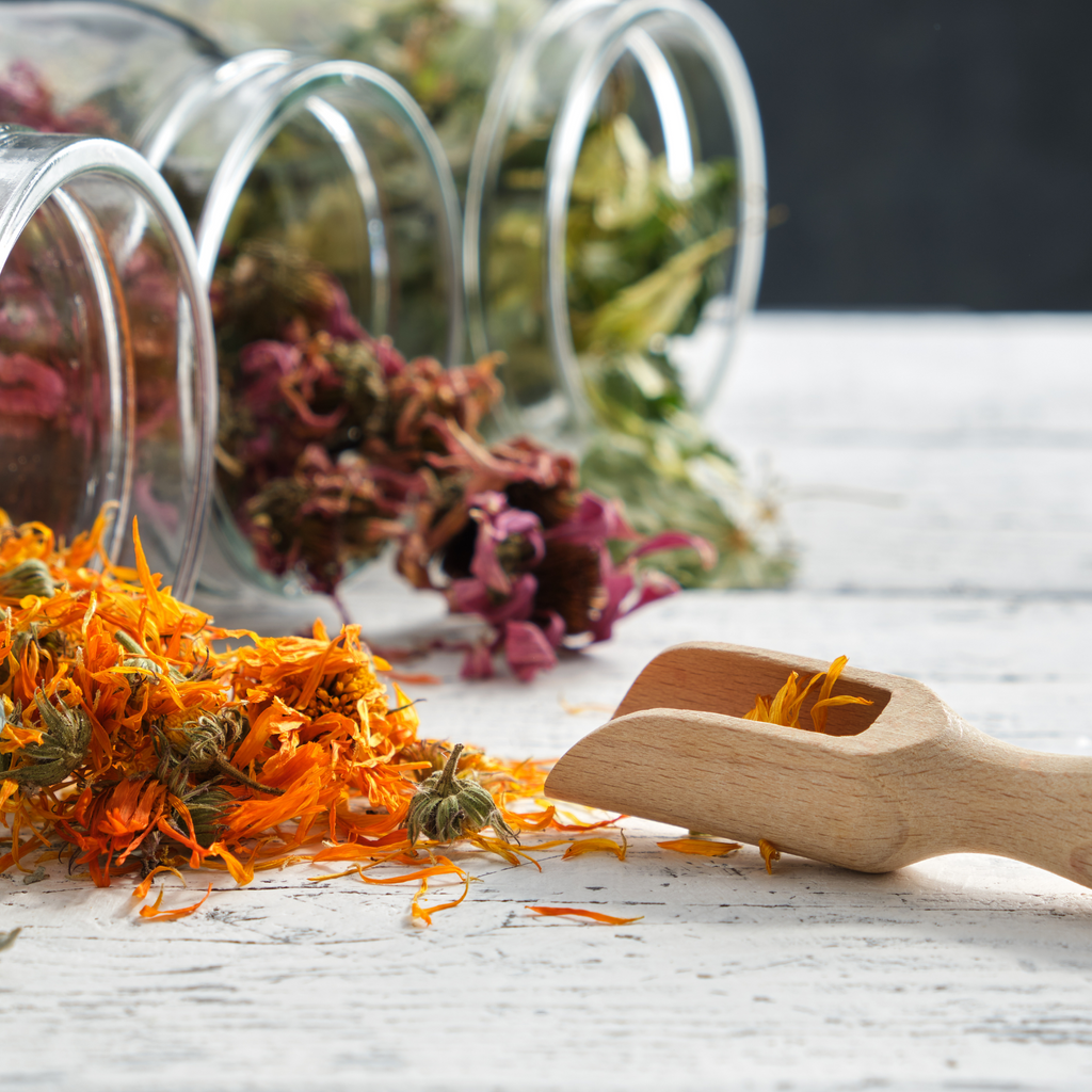 Build Your Apothecary at Dorothy's Herb Shop & Herbal Apothecary