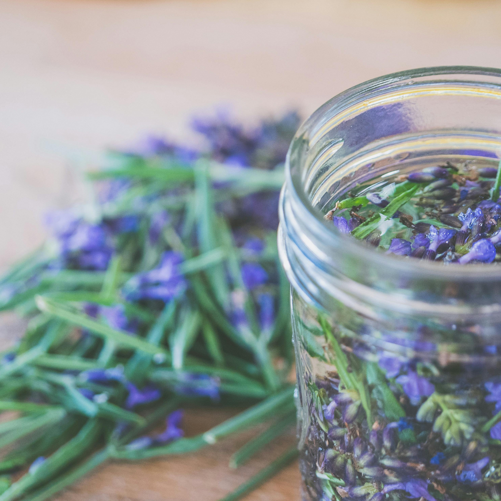 Build Your Apothecary at Dorothy's Herb Shop & Herbal Apothecary