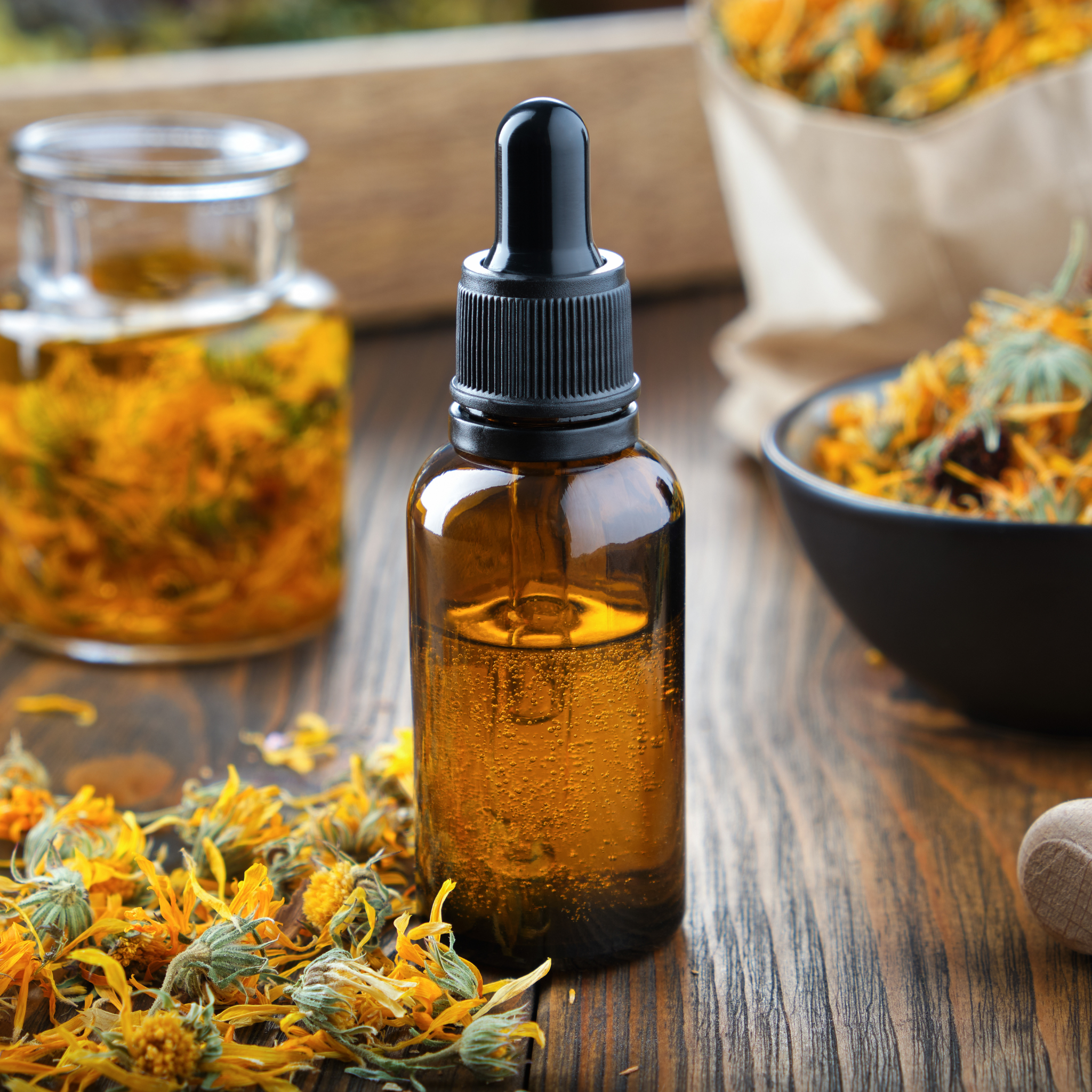 Build Your Apothecary at Dorothy's Herb Shop & Herbal Apothecary