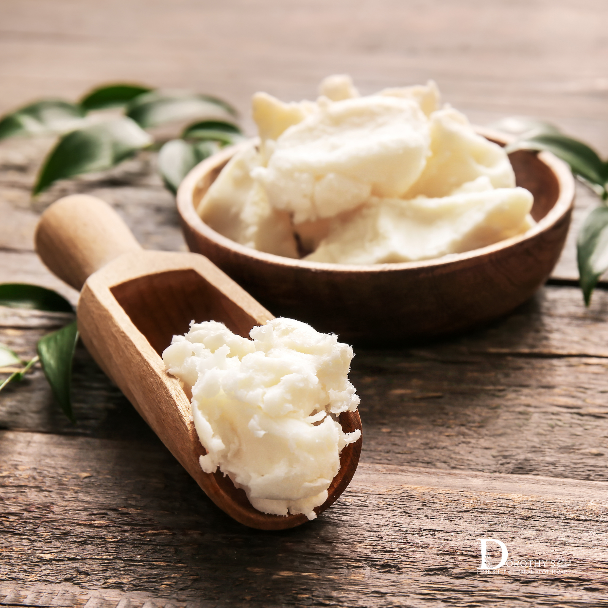 Build Your Apothecary at Dorothy's Herb Shop & Herbal Apothecary