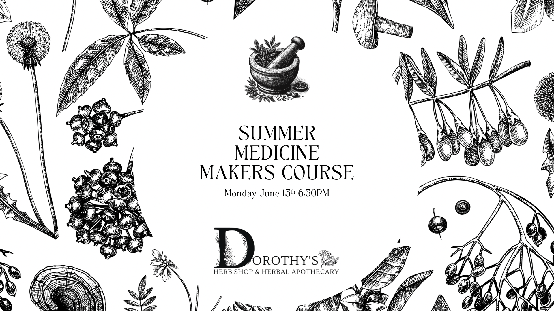 June 15th Herbal Summer Medicine Makers Course