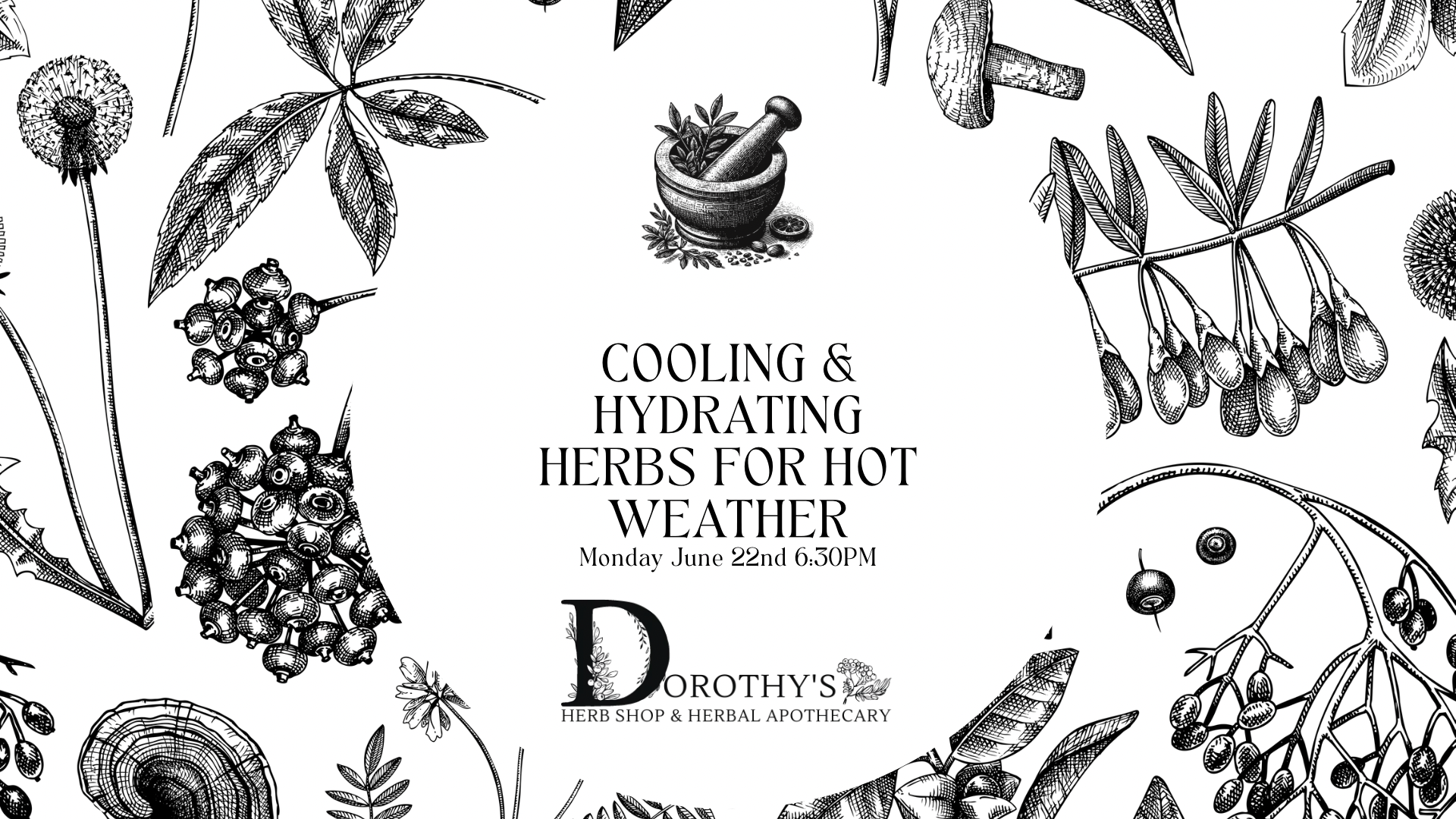 June 22nd Cooling & Hydrating Herbs for Hot Weather