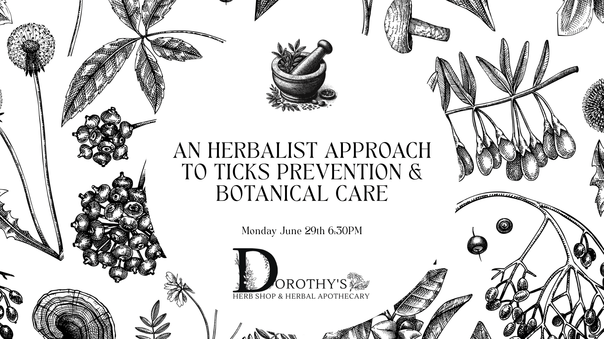 June 29th An Herbalist Approach to Ticks Prevention & Botanical Care