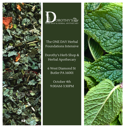 One Day Herbal Foundations Intensive October 4th