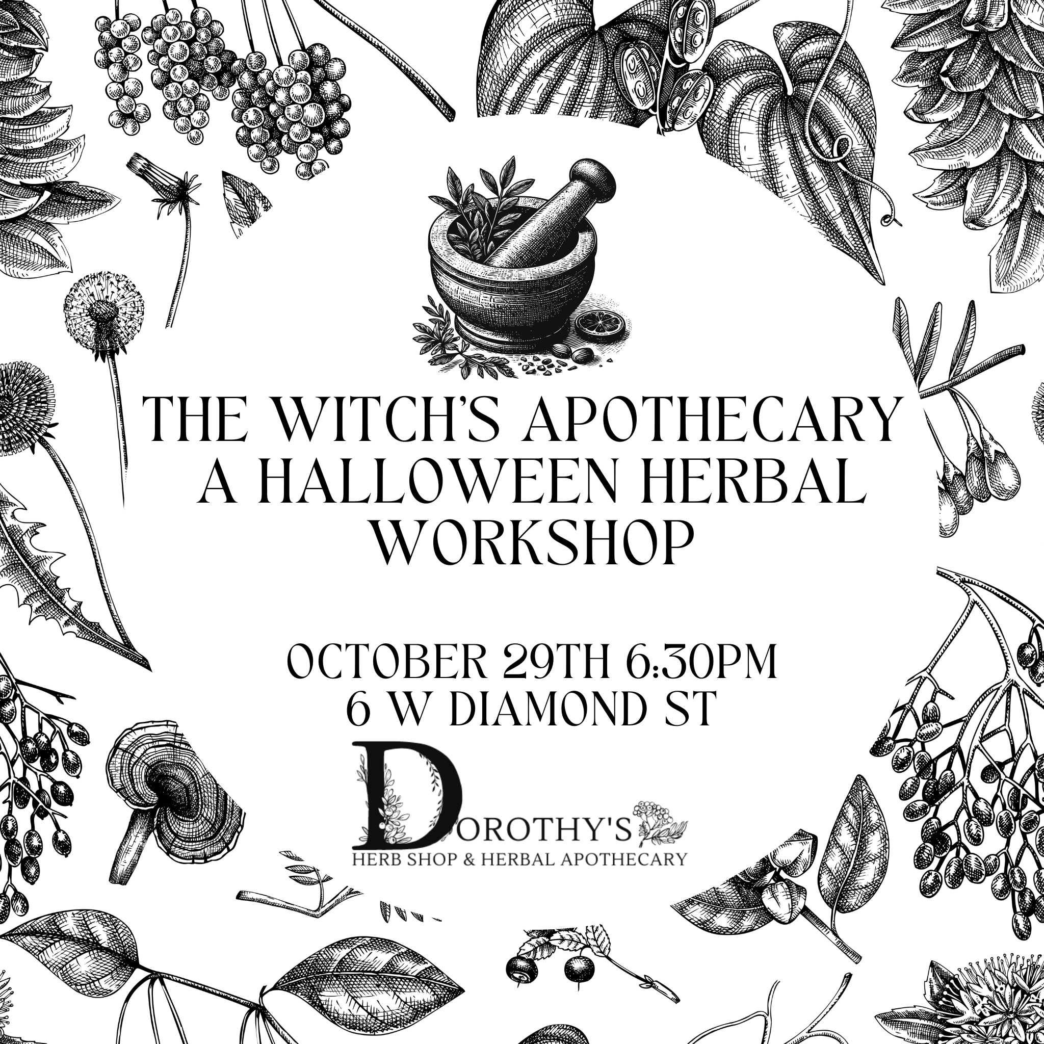 The Witch's Apothecary October 29th 6:30PM