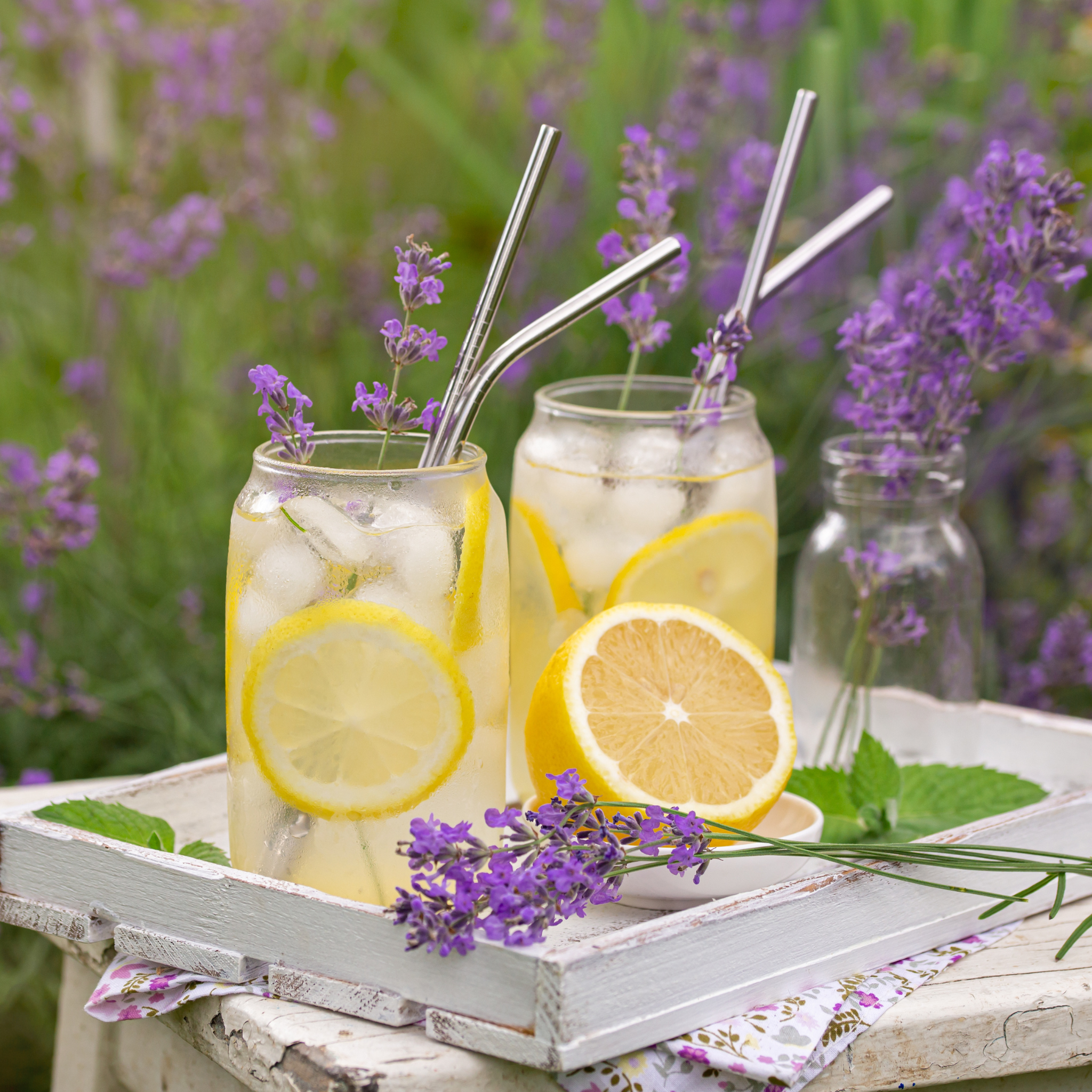 Lavender Lemonade Herbal Loose Leaf Infusion