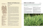 Herbalist's Bible by Julie Bruton-Seal