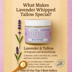 Lavender Whipped Tallow Moisturizer | Natural Beef Tallow Lotion | Calming, Preservative-Free Skincare by Lady May Tallow