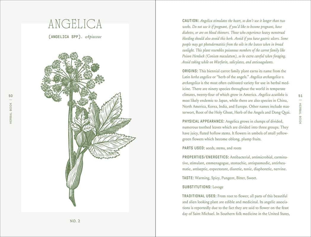 Complete Folk Herbal by Rebecca Beyer