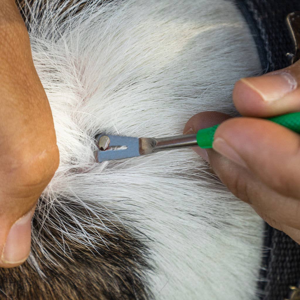 Ecommerce Packaging - TickCheck Premium Tick Remover Kit