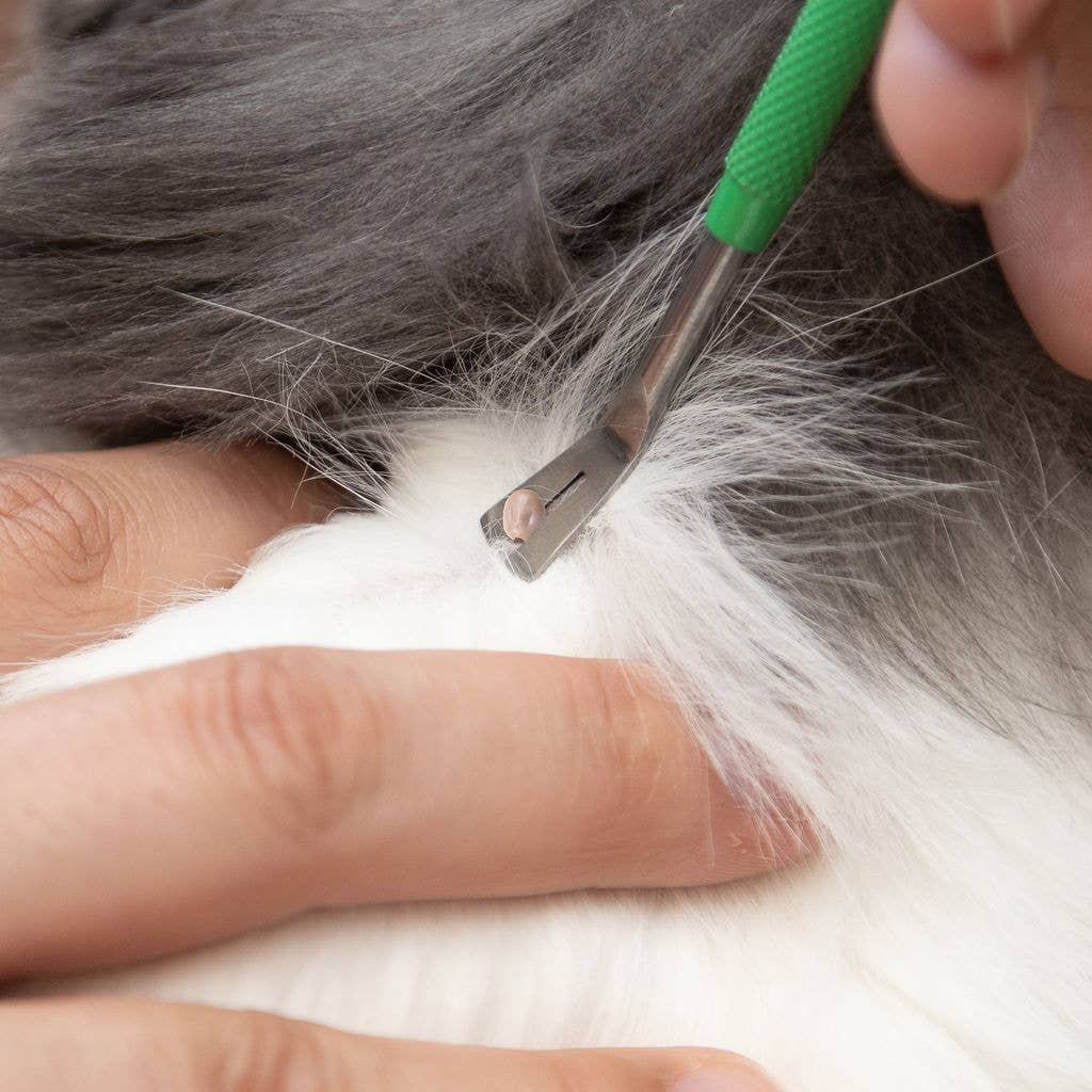 Ecommerce Packaging - TickCheck Premium Tick Remover Kit