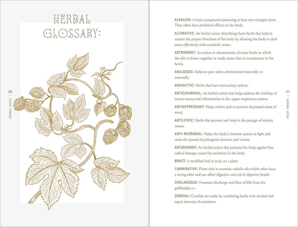 Complete Folk Herbal by Rebecca Beyer