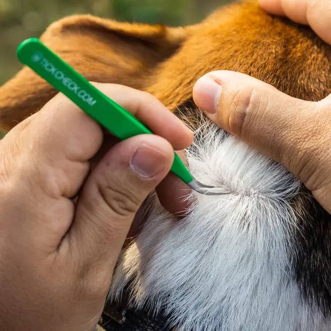 Ecommerce Packaging - TickCheck Premium Tick Remover Kit