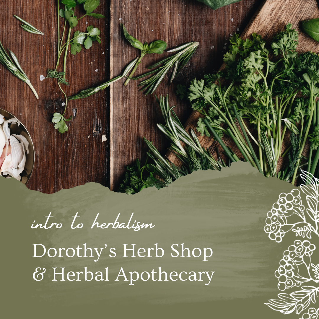Intro to Herbalism with Dorothy’s Herb Shop
