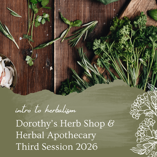Intro to Herbalism with Dorothy’s Herb Shop March 2026