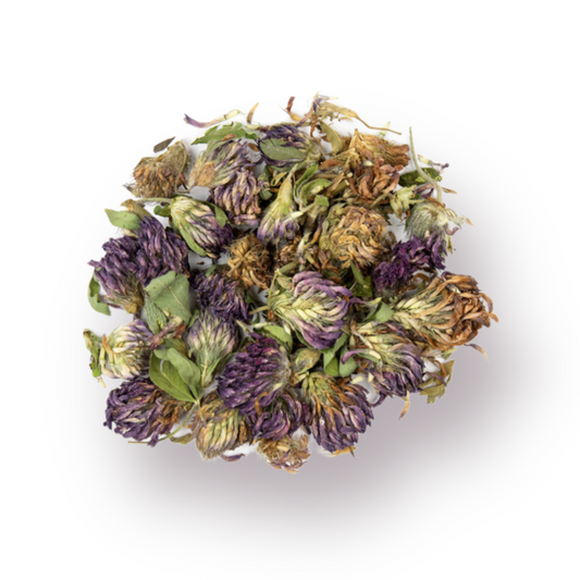 Red Clover Blossoms Bulk Herb 1 oz