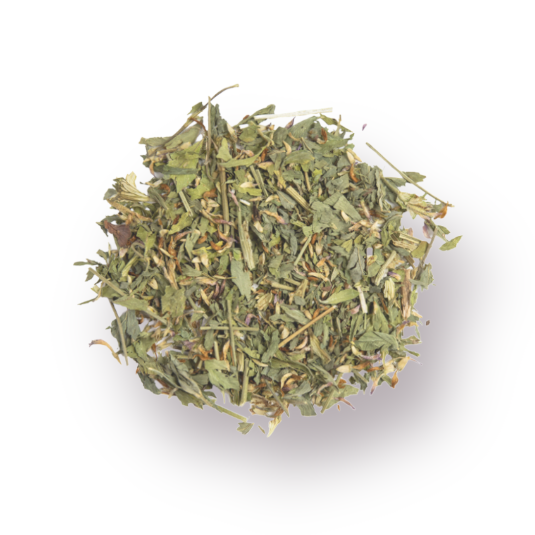 Red Clover Herb Bulk 1 oz