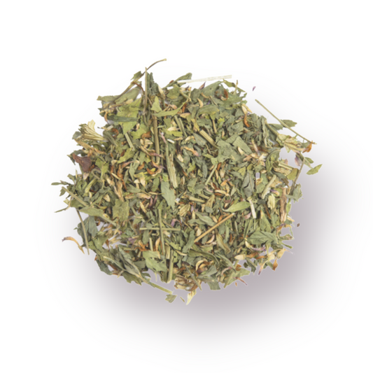 Red Clover Herb Bulk 1 oz