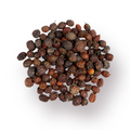 Hawthorn Berries Bulk Herb