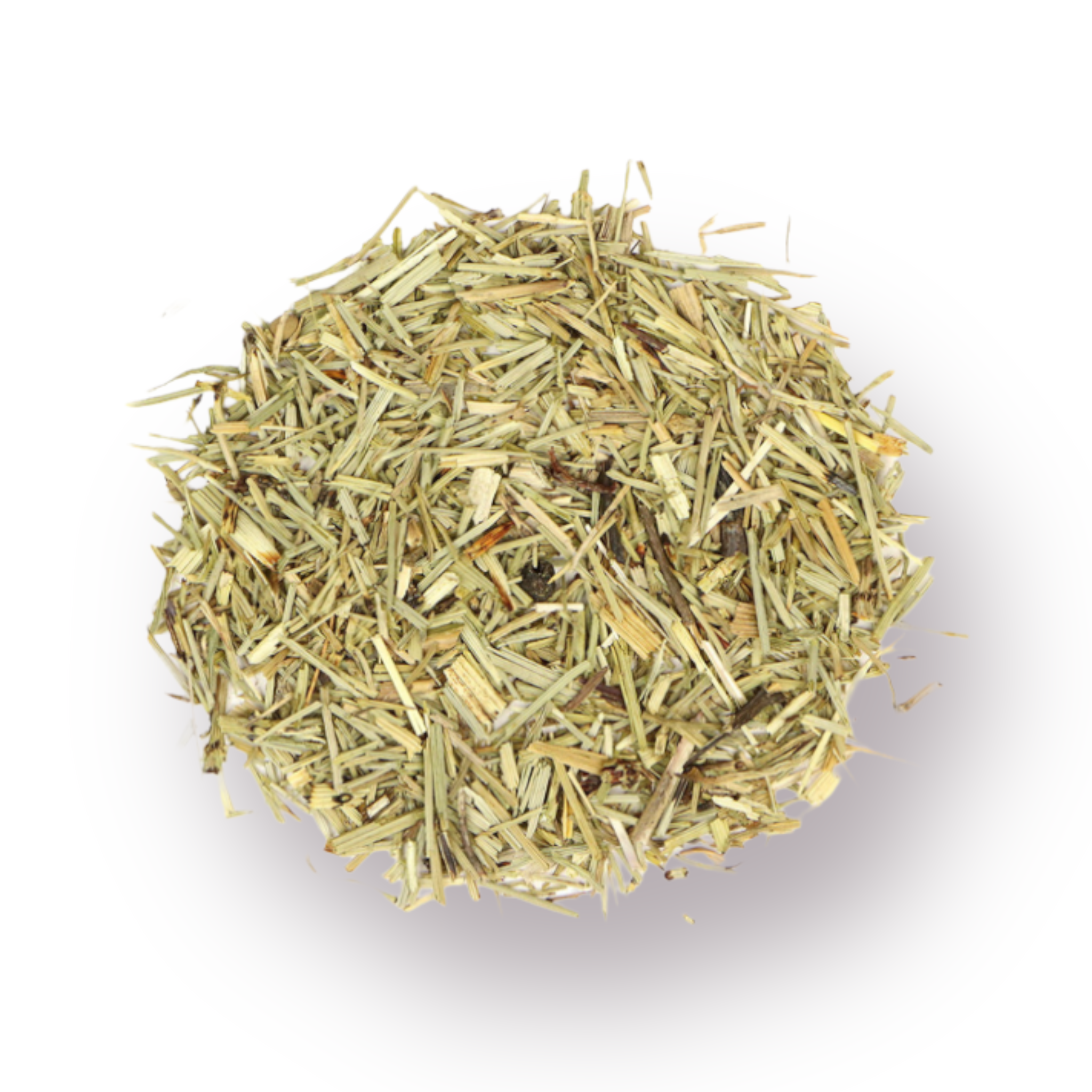 Horsetail Bulk Herb 1oz