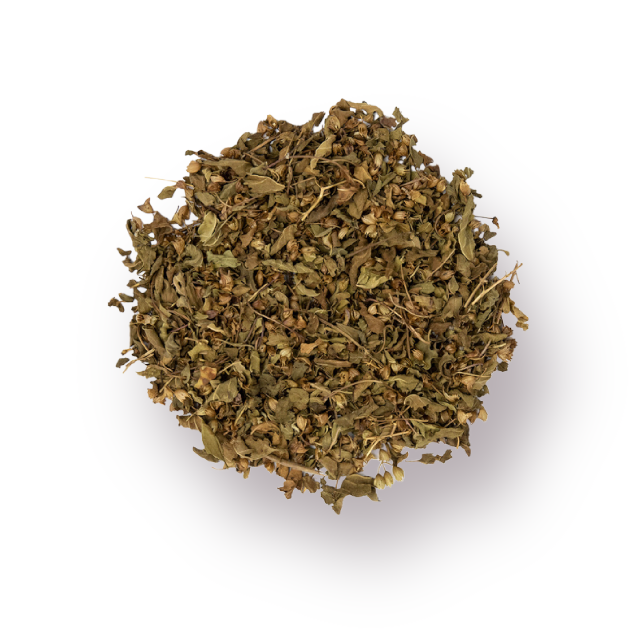 Holy Basil Rama Bulk Herb 1oz